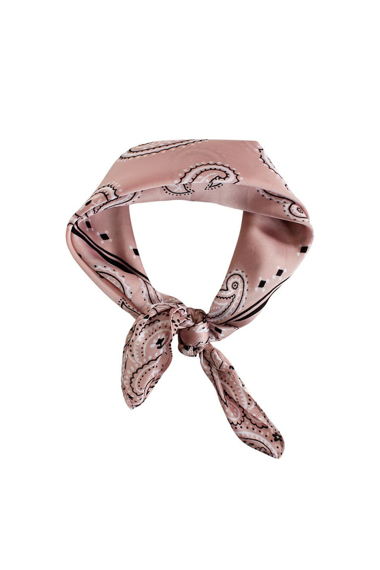 [TEST] Spaced Out Paisley Neckerchief