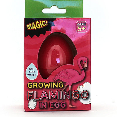 [TEST] Kids Growing Flamingo