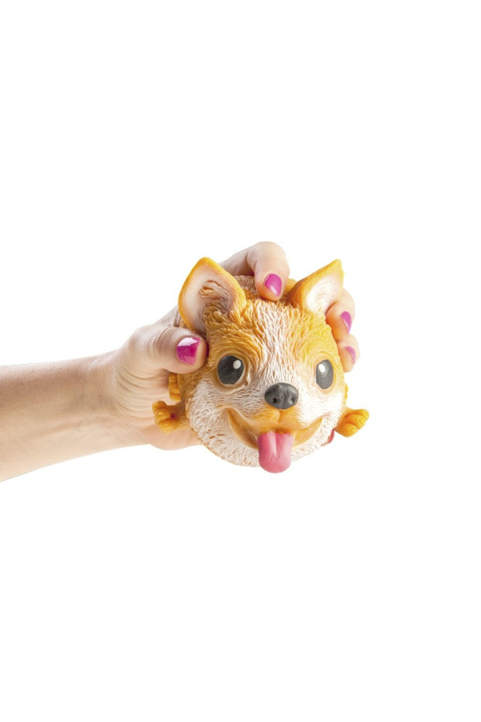 [TEST] Kids Squishy Dog